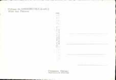 Castillo de CPSM de Chenonceaux ido de los arboles planos