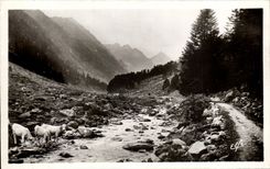 CPSM Hautes Pyrnees Cauterets Dans le Val de Lutour Le Gave et le chemin muletier