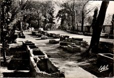 CPSM Arles Alyscamps Gone of the tombs