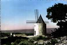 MODERN CARD Provence Mill of Daudet