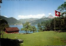 CPM Rutil am Vierwaldstattersee Rutllwises mit Brunnen Und Mythen