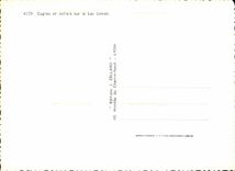 CPM Cygnes Et voiliers Sur Le Lac Leman Suisse