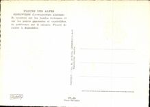 Flores de CPSM de las montanas Edelweiss