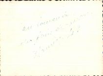 Photo man in the middle of the orchards