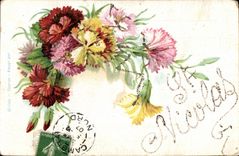 La POSTAL de la VENDIMIA florece St Nicolas