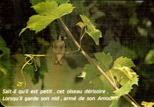 POSTAL MODERNA sabe que el qu el es pequeno este pajaro ridiculo Lorsqu que guarda su amor