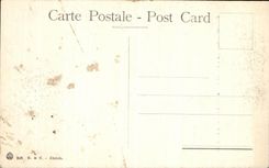 POSTAL Genova Ingrressa Scalone del Palazzo Durazzo de la VENDIMIA adentro via Balbi