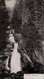 CPA Triberg Wasserfall
