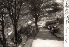 VINTAGE POSTCARD Scarborough St Nicholas Gardens