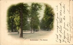 CPA Southampton The Avenue