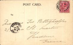 VINTAGE POSTCARD Southampton The Avenue