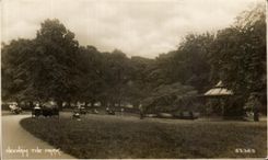 VINTAGE POSTCARD Hexham The park