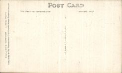 VINTAGE POSTCARD Hexham The park