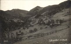 CPA Steintal Wattwit