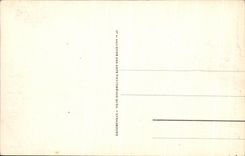 CPA Biskra Dans L Oasis algerie