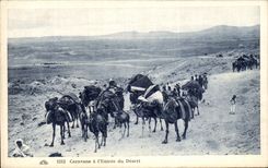 CPA Caravane A L Entree Du Desert Chameaux