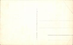 CPA Caravane A L Entree Du Desert Chameaux