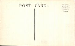 VINTAGE POSTCARD Path Through The Landslip Isle off Wight