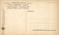 VINTAGE POSTCARD Madonnae Santi di Gian Bellini Venezia