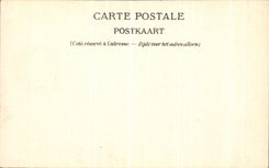 VINTAGE POSTCARD Brussels Street of Regency and Law courts