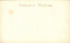 EL Coro de Monasterio Del Escori Templo de la POSTAL de la VENDIMIA