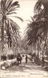 VINTAGE POSTCARD Gabes Landscape in L Tunisia oasis