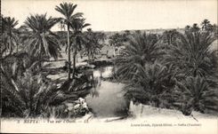 VINTAGE POSTCARD Nefta Seen on L Tunisia Wadi