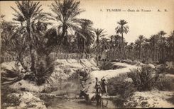VINTAGE POSTCARD Tunisia Oasis of Tozerur