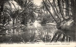 VINTAGE POSTCARD Nefta Seen On the Lake in L Tunisia oasis
