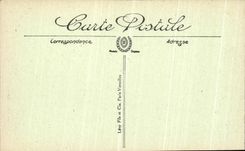 VINTAGE POSTCARD Nefta Groups Tunisia palm trees