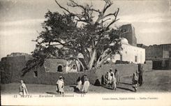 VINTAGE POSTCARD Nefta Marabout Sidi Messoud Tunisia