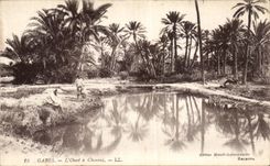 VINTAGE POSTCARD Gabes L Wadi has Chemini Tunisia