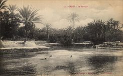 VINTAGE POSTCARD Gabes the Tunisia Stopping