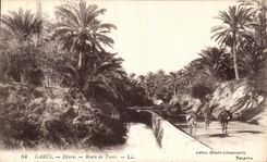 VINTAGE POSTCARD Gabes Djara Road of Tunis Tunisia
