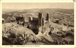 CPA Fez Les Remparts et vue Sur la Medina