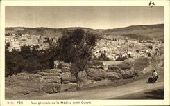 CPA Fez Vue generale de la Medina