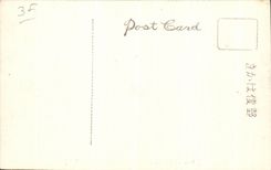 VINTAGE POSTCARD Hikone Castle O Semi Japan