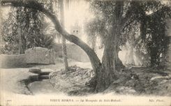 CPA Vieux Biskra La Mosque de sidii Maleck 