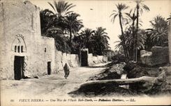 CPA Vieux Biskra Une rue de Bab Dark Palmiers dattiers