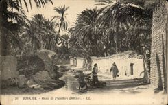 CPA Biskra Oasis de Palmiers Dattiers 