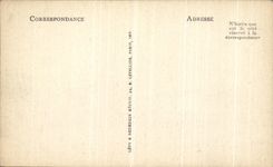 CPA Biskra Dans l Oasis