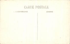 CPA Alger Jardin L Allee des Ficus 