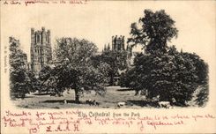 VINTAGE POSTCARD Ely Cathedral From the Park