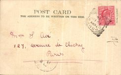 VINTAGE POSTCARD Ely Cathedral From the Park