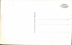 VINTAGE POSTCARD Schloss Stolezenfels und Oberlahnstein has Rh