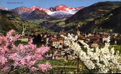 POSTAL Bolzano Gries de la VENDIMIA
