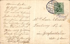 VINTAGE POSTCARD Frohliche Ostern Easter Chick Butterfly