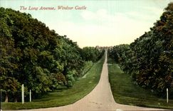 CPA The long Avenue Windor Castle