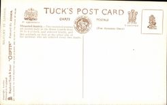 CPA Whitehall Sentry On Guard London 