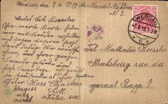 Flores de Vergiss Mein Nicht de la POSTAL de la VENDIMIA